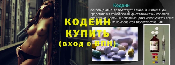 эйфоретик Инта