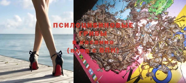 эйфоретик Инта