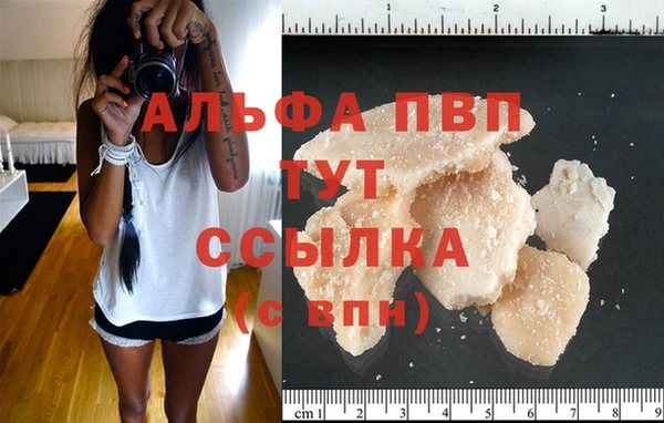 эйфоретик Инта
