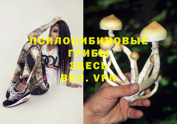 эйфоретик Инта