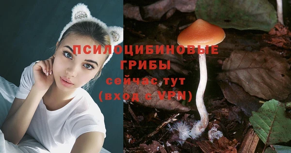 эйфоретик Инта