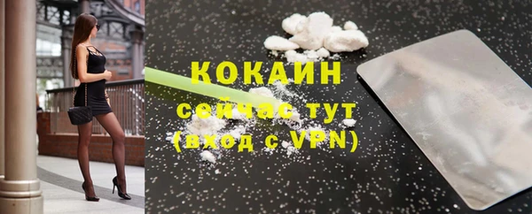 бошки Инсар