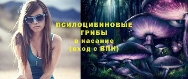 эйфоретик Инта
