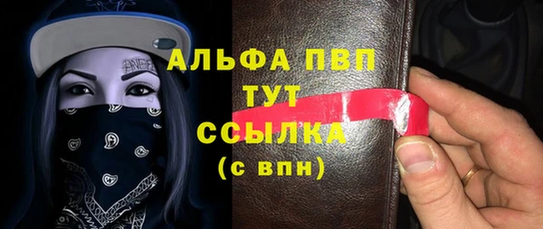 эйфоретик Инта