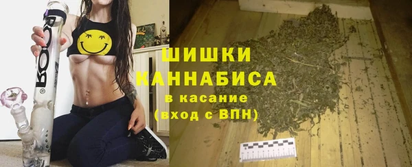 не бодяженный Иннополис