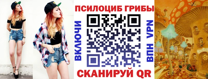 Псилоцибиновые грибы мицелий  Купить  Большой Камень 